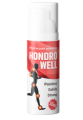 Hondrowell — cea mai eficientă soluţie pentru sănătatea articulațiilor tale